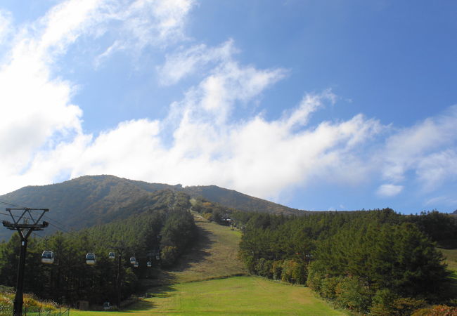 紅葉が綺麗