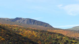 一面が紅葉の海