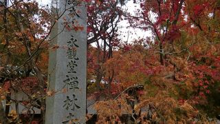 紅葉と言えばここ