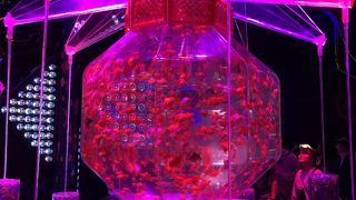 アートアクアリムを見に