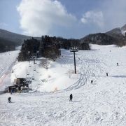 今年は雪がたんまりありました