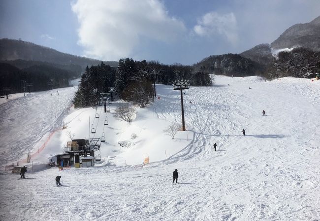 今年は雪がたんまりありました