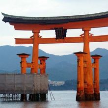 こんな状態だった。