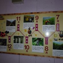 ワインの行程２