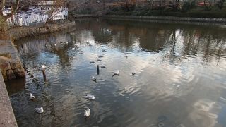  江ノ島・鎌倉七福神巡りで旗上弁財天社に行きました