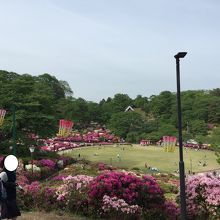 つつじ祭り雰囲気