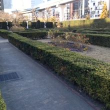 公園内の様子、人がいません。