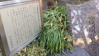 重厚な石造りの井戸