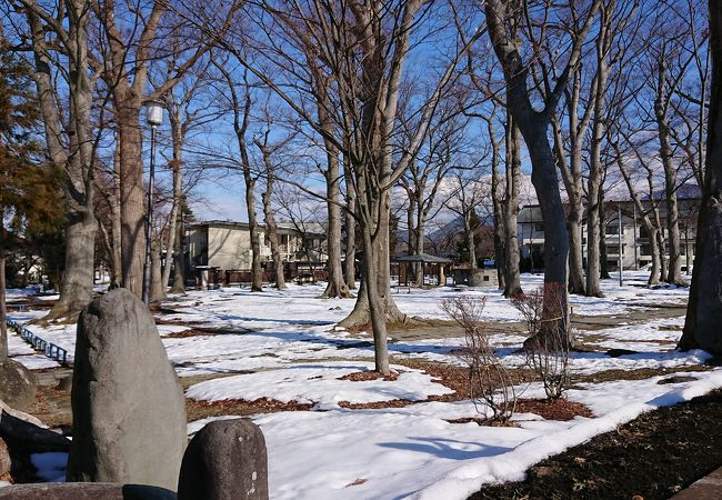 薬師公園 山形県山形市 クチコミ アクセス 営業時間 山形市 フォートラベル