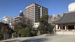 清澄白河の名前の由来？