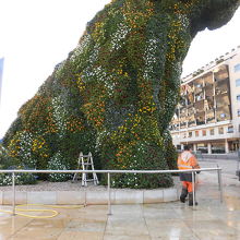 手入れをする人