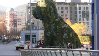 花で飾られる。