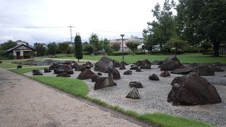 住宅地の公園にしては