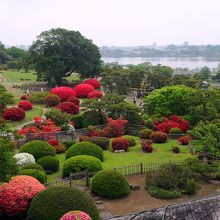 好文亭からのつつじ