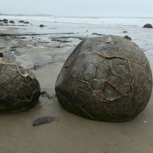 海岸に丸石が露出しています