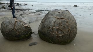 海岸に大きな丸石がゴロゴロころがっているモエラキ ボルダー