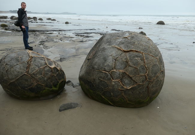 海岸に大きな丸石がゴロゴロころがっているモエラキ ボルダー