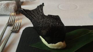 メインはヒグマ