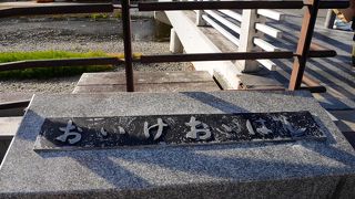 鴨川が綺麗に見える橋