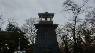 クジャクがいます