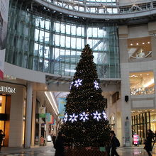 クリスマスツリー