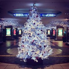 クリスマスツリーを見ると年末だなって感じます