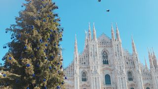 クリスマスツリーを見たくて