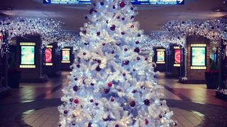 お店がたくさんありますが、夜が早い