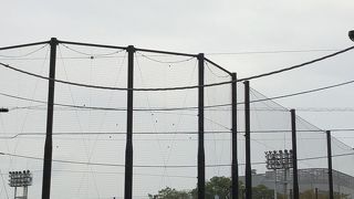 けっこう大きいです