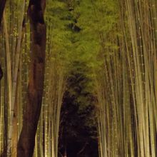 綺麗けど人の多さに疲れました