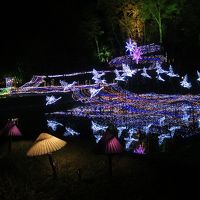 夜の無料エクスカーション：国営公園のイルミネーション