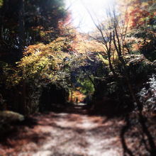 白磁ケ丘公園