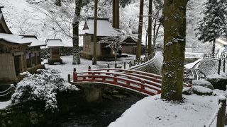 雰囲気が最高のお寺です