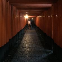 夜の千本鳥居