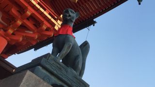 夕暮れ時の伏見の狐