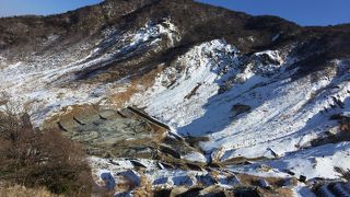 富士山が見えた