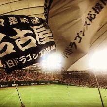 ビジター応援席