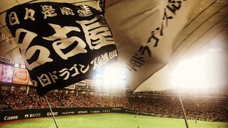 野球をみにきました