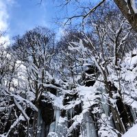 ホテルの氷ばくツアーに参加しました♪