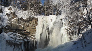冬期は入園無料！