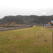 緑地からは金ヶ崎城址がのぞまれる