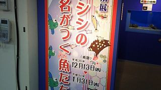 賢島にある水族館