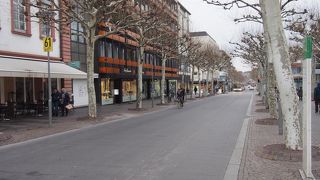 街路樹が植わりきれいな通り