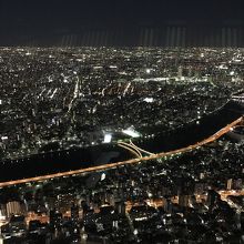スカイツリーからの眺め