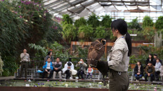 拡張中の動物園