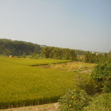 途中のどかな景色も見えました