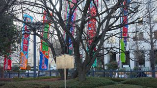 国歌に出てくるさざれ石