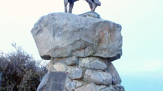 霰と寒風の中、立ち続ける