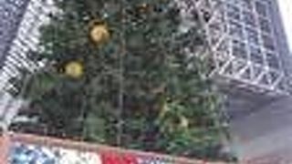 クリスマスツリー