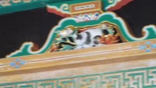 目は閉じていますが寝ていない眠り猫です。